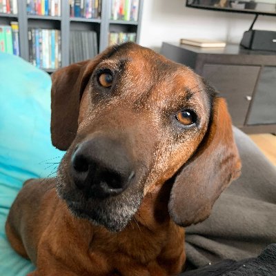 Kalle